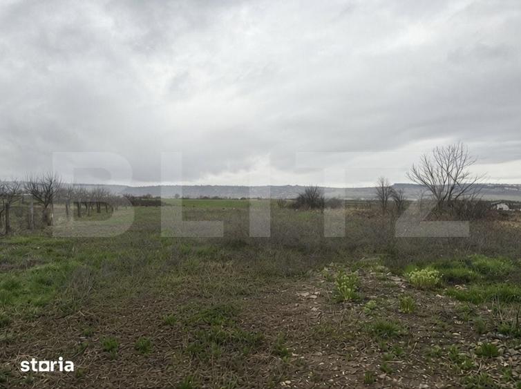 Teren de 2600 mp, în Beriu