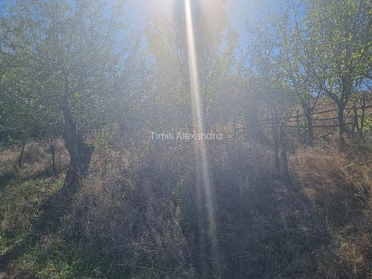 Teren 1300mp Strada Faget Sighet Intravilan!