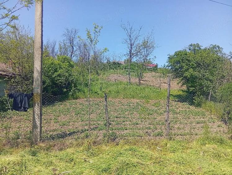 Teren de 860 mp, în Leu
