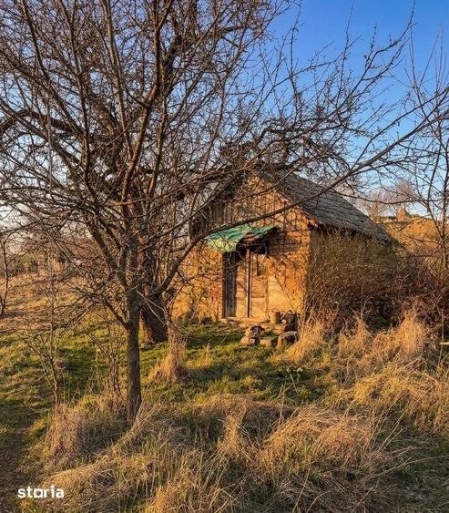Teren de 6707 mp, în Cetariu