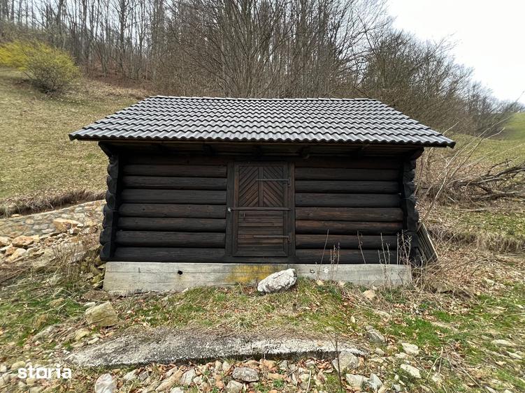Teren de 12877 mp, în Bulz