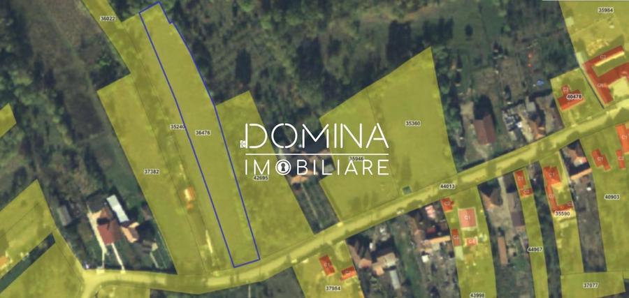 Teren Construcții intravilan de 2948 mp, în Tismana