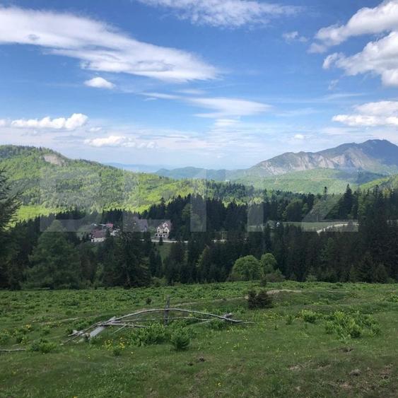 Teren Construcții intravilan de 10000 mp, în Exterior Est