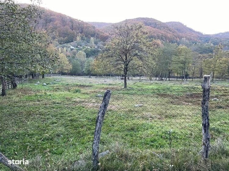 Teren de 13575 mp, în Mușătești