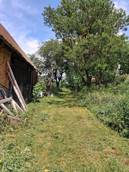 Casă cu 3 camere în Delenii