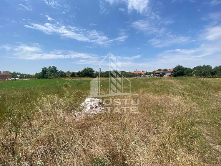 Teren de 1000 mp, în Dragșina