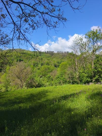 Teren Cabana Ocolis Alba langa rau de munte, 4000 mp, SUPER OFERTA - 4
