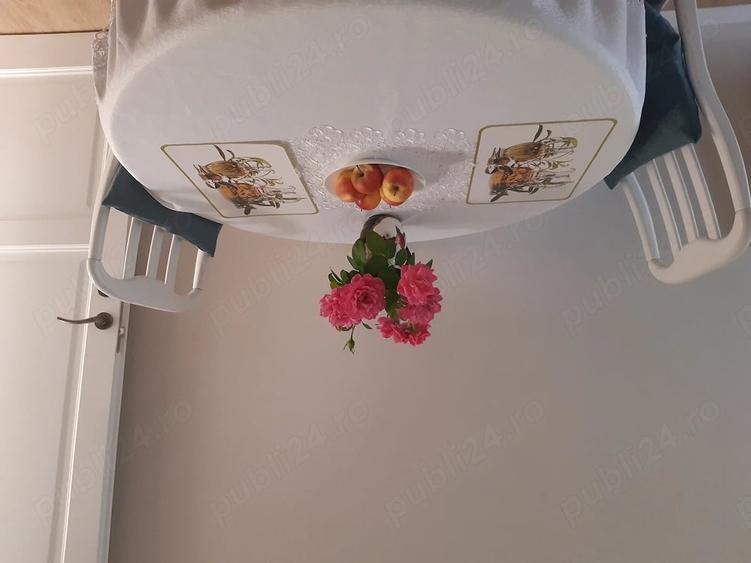 Casă cu 3 camere cu Teren 426 Mp în Bucium
