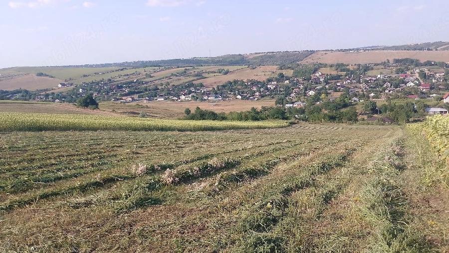 Teren de 4573 mp, în Vânători
