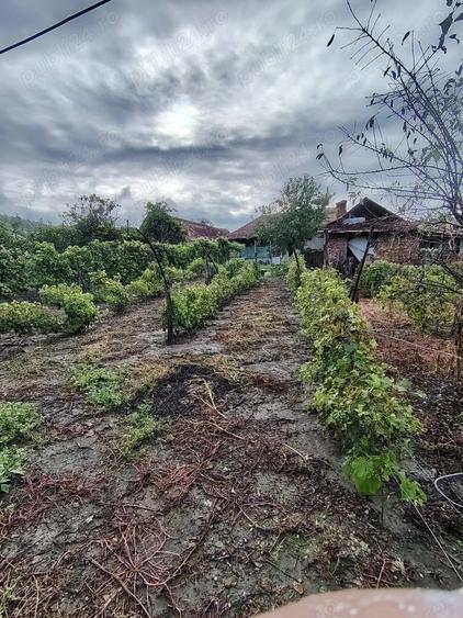 Casă cu 6 camere cu Teren 6000 Mp în Diviciorii Mici