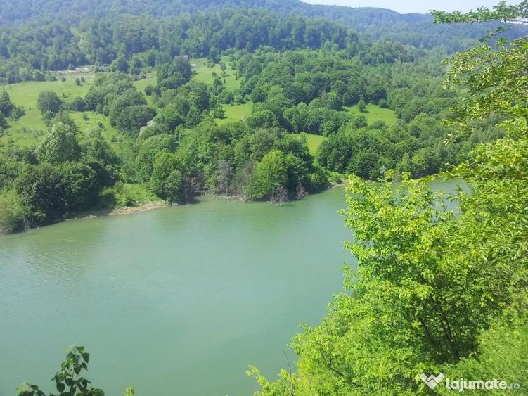 Teren de 73000 mp, în Siriu