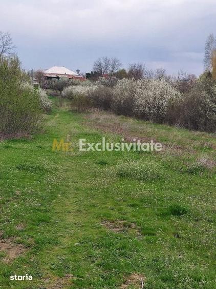 Teren Topoloveni - 3670 mp - langa padure, aproape de Centrul orasului - 2