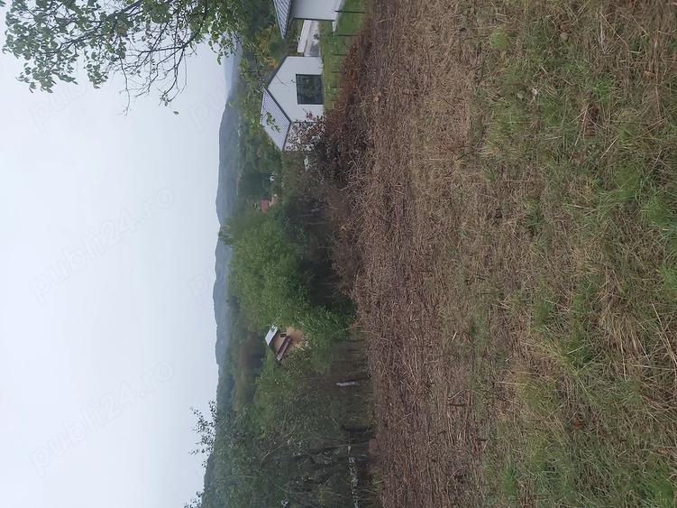 Teren de 2400 mp, în Vlădești