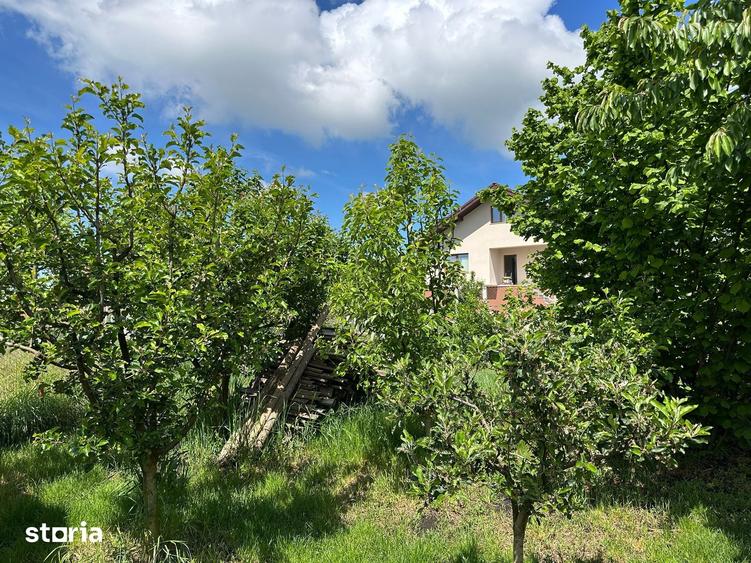 Teren de 550 mp, în Central