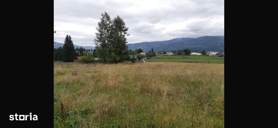 Teren de 6770 mp, în Șaru Dornei