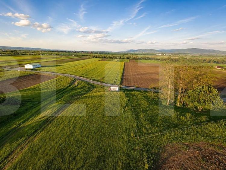 Teren agricol extravilan de 9000 mp, în Ilieni