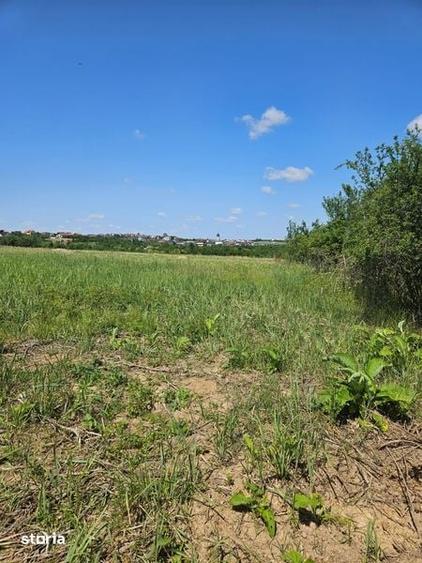 Teren de 1500 mp, în Paleu