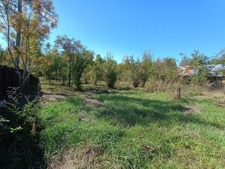 Casă individuală cu 5 camere cu Teren 9000 Mp în Icoana
