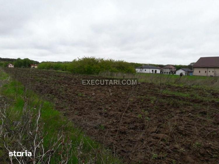 Teren de 2410 mp, în Snagov