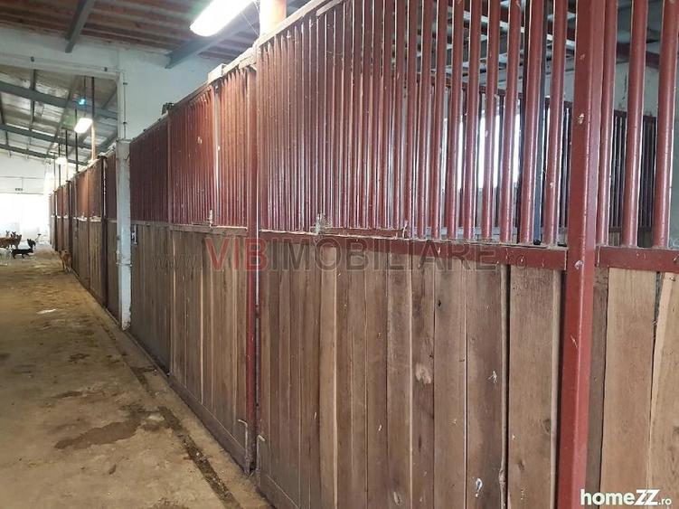 Ferma Zootehnica Satchinez, | 9,5 ha teren,vanzare sau schimb pentru jumatate din valoare - 2
