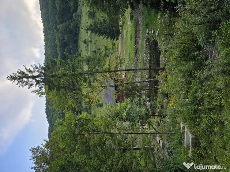 Teren de 8000 mp, în Lunca Vișagului