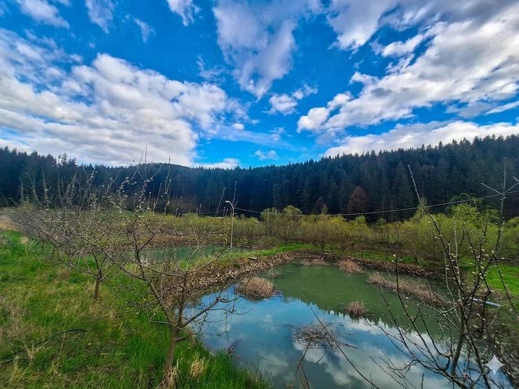 Teren de 21000 mp, în Slatina