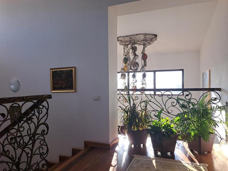 Casă individuală cu 8 camere cu Piscina în Samurcași