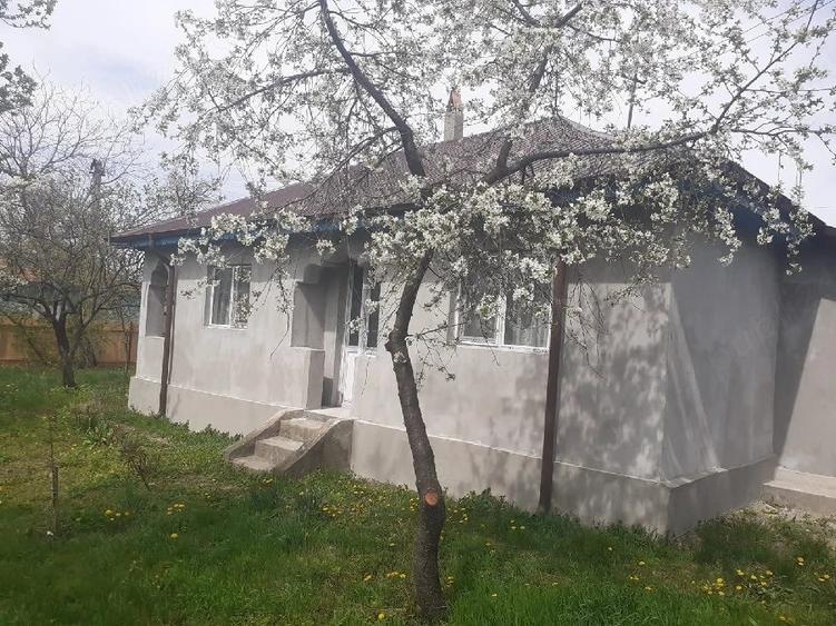 Casă cu 5 camere cu Teren 1100 Mp în Colceag