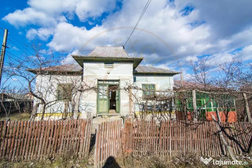 Casă cu 3 camere cu Teren 4145 Mp în Vedea