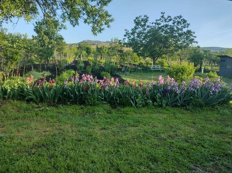 Casă individuală cu 3 camere cu Canalizare în Greceanca