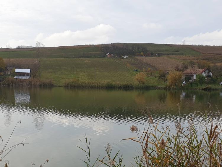 Teren de 12000 mp, în Florești