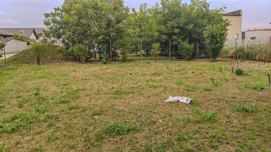 Spațiu comercial, în Berceni