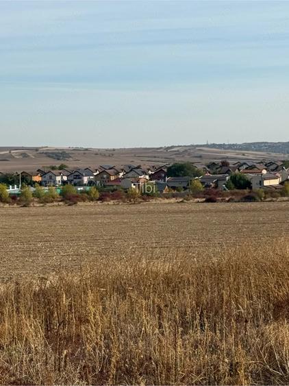 teren intravilan Paleu