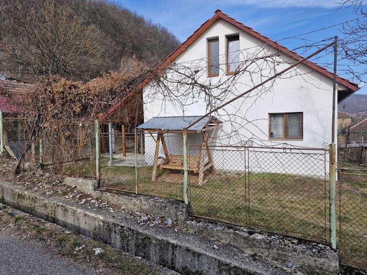 vand casa la Criscior , jud Hunedoara - 5