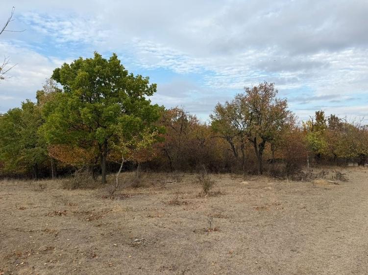Teren de 750 mp, în Bara