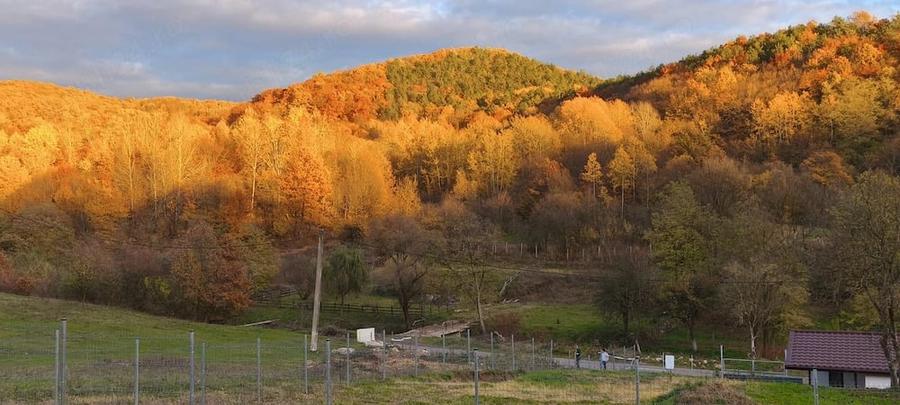 Teren de 2000 mp, în Boholt