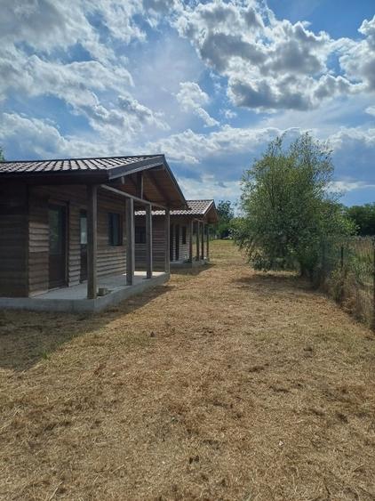 Teren Construcții intravilan de 1207 mp, în Dunavățu de Jos
