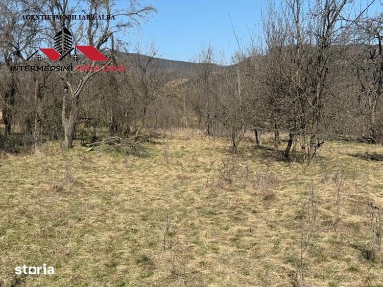Casa si anexe cu un teren de 7701 mp de vanzare in Stauini Jud Alba - 6
