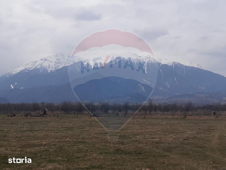 Teren 10,000mp Rasnov / Drumul Panicel - 8