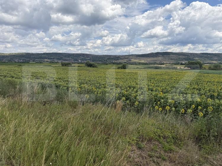Teren Construcții intravilan de 11500 mp, în Bobota