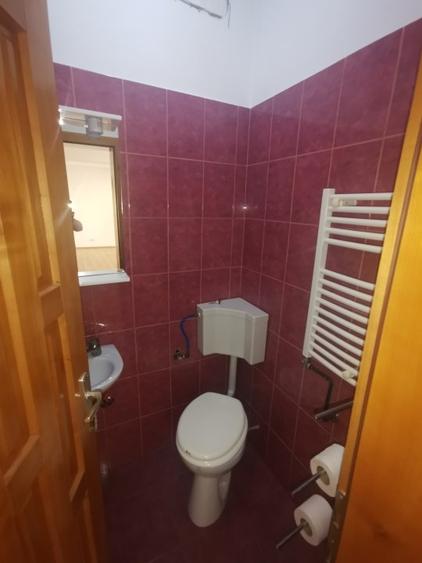 Casă individuală cu 9 camere cu Canalizare în Blașcovici