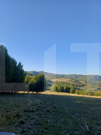Teren extravilan de 11600 mp, în Turia