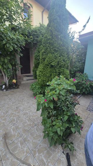 Vand casa Navodari - 5