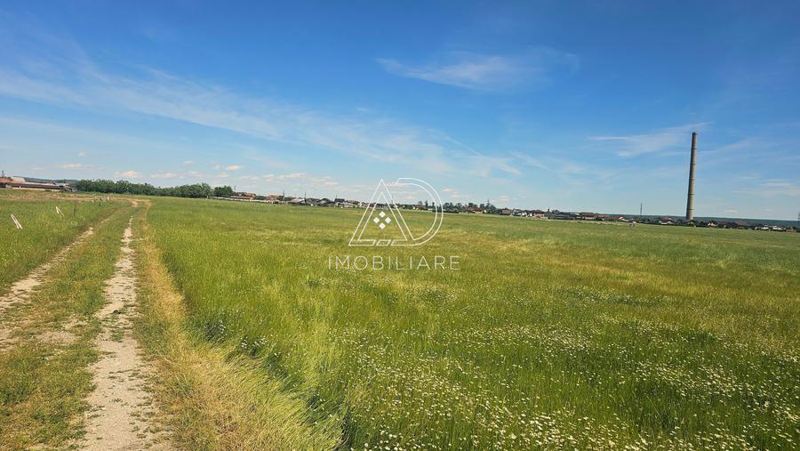Teren agricol extravilan de 300 mp, în 9 Mai