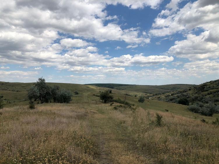 Teren agricol extravilan de 500000 mp, în Tohani