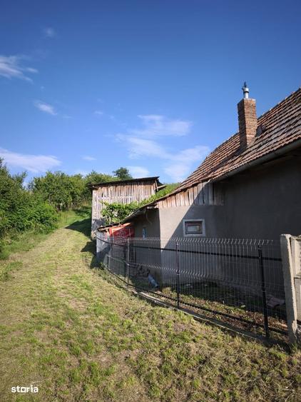 Casă cu 5 camere cu Teren 4000 Mp în Central