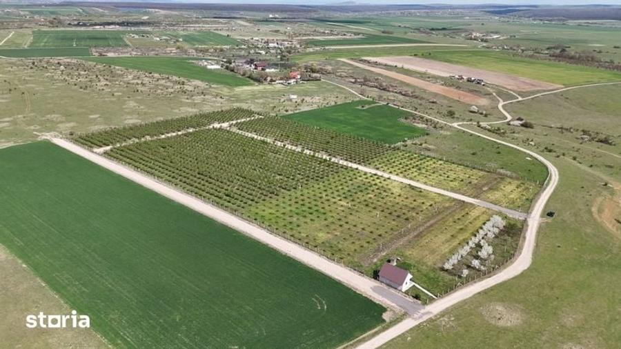 Teren de 500 mp, în Nufărul