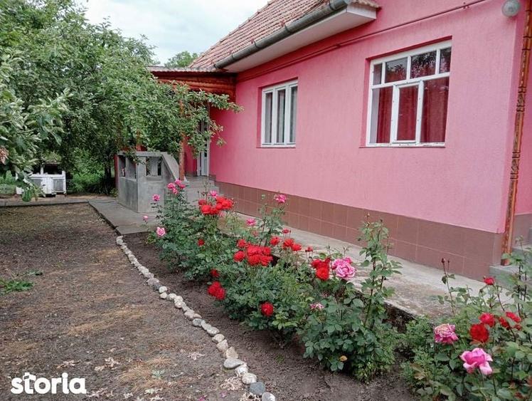 Casa parinteasca de vanzare - zona rurala linistita - 2