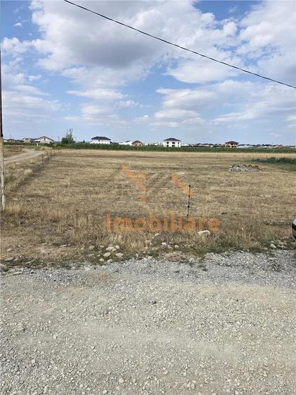 TEREN INTRAVILAN 568 MP | PROIECT CASA | CIHEI SANMARTIN | BIHOR - 3
