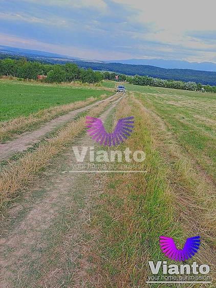 Teren agricol extravilan de 3100 mp, în Rășinari